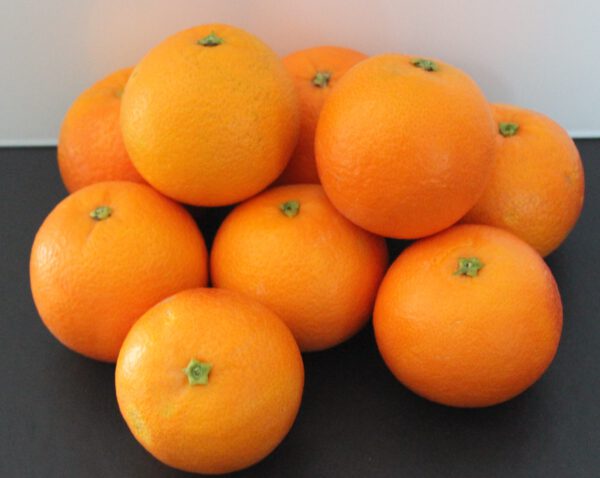Comprar naranjas valencianas online - Barberinas