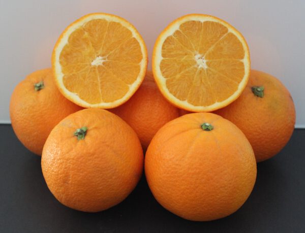 Comprar naranjas valencianas online - Navel Foyos
