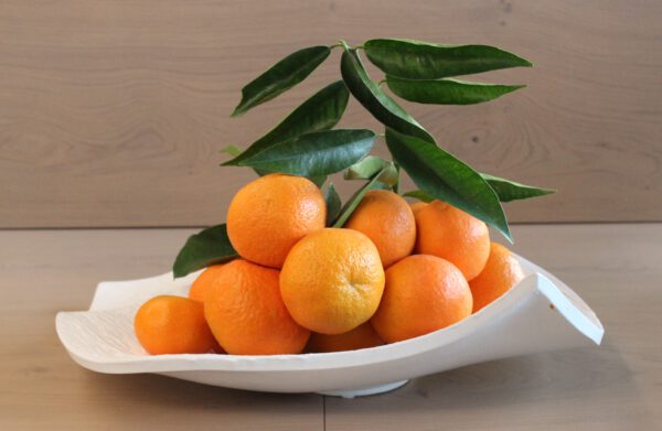 Comprar mandarinas valencianas online- Clemenules frescas