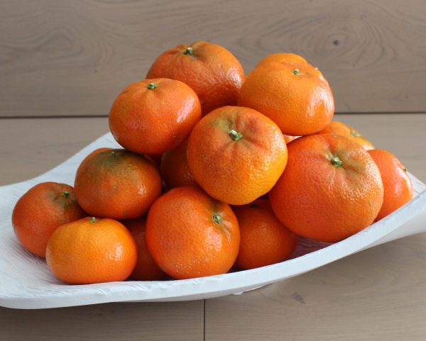 Tienda online de naranjas valencianas- mandarinas